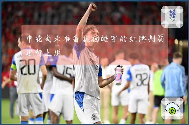申花尚未准备就杨皓宇的红牌判罚进行上诉